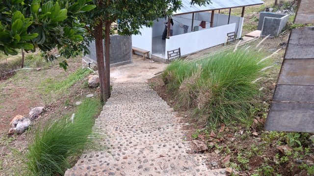 20250527_165547.jpg