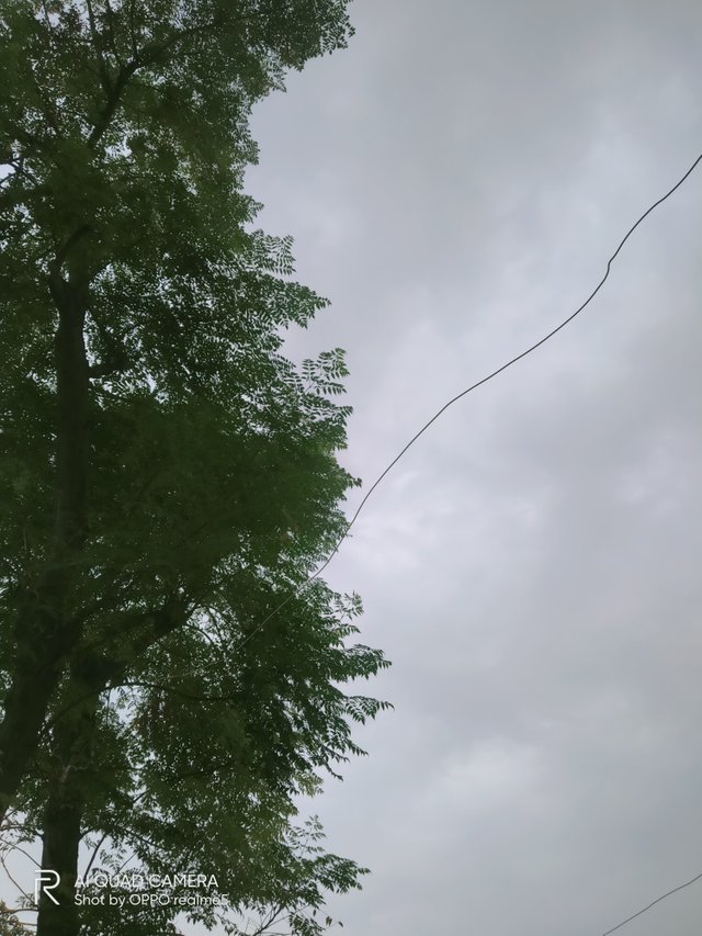 IMG20210908075907.jpg