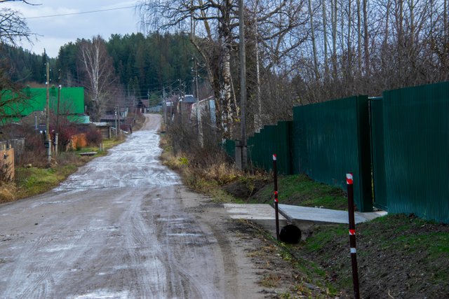 20211024 Курешники_19.jpg