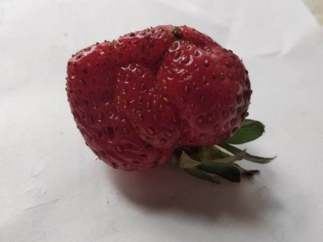 IMG_20250327_114351.jpg