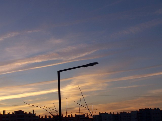 100_2065 0412 steemit.JPG