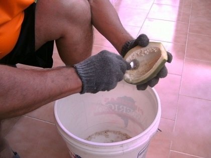 image (8).jpg
