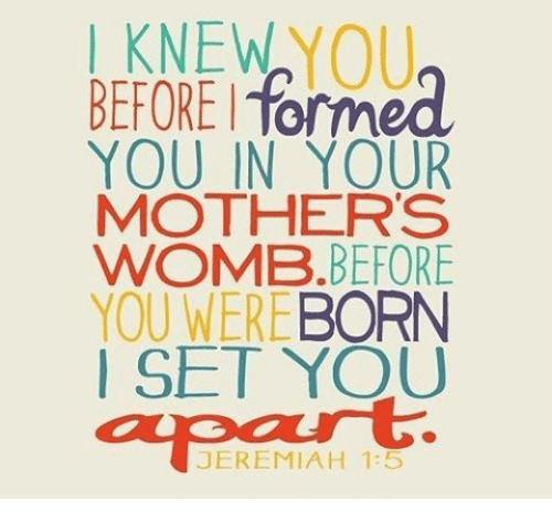 i-knew-you-before-i-formed-you-in-your-mothers-14911635.png