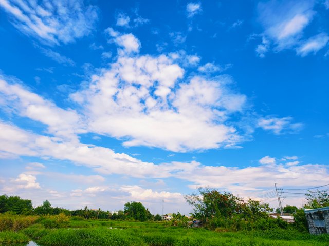 IMG_20250403_080151.jpg