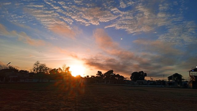 IMG_20250515_060946_1.jpg