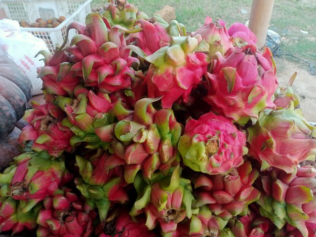 IMG20251008170834.jpg