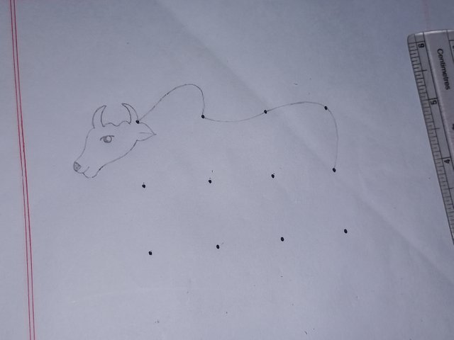 20250606_110240.jpg