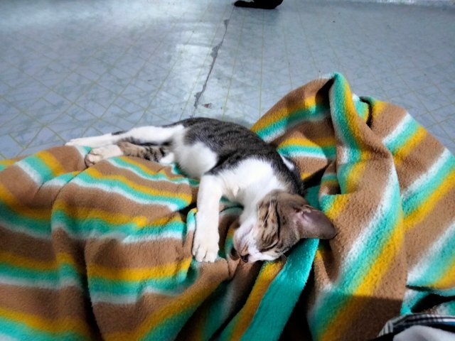 IMG20250720161609.jpg