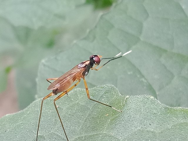 IMG20250319092406.jpg