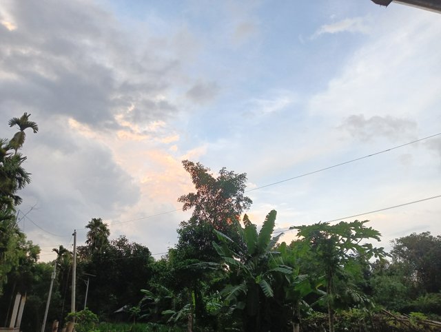 IMG20250526182430.jpg