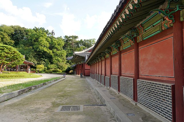 b-DSC00708.JPG