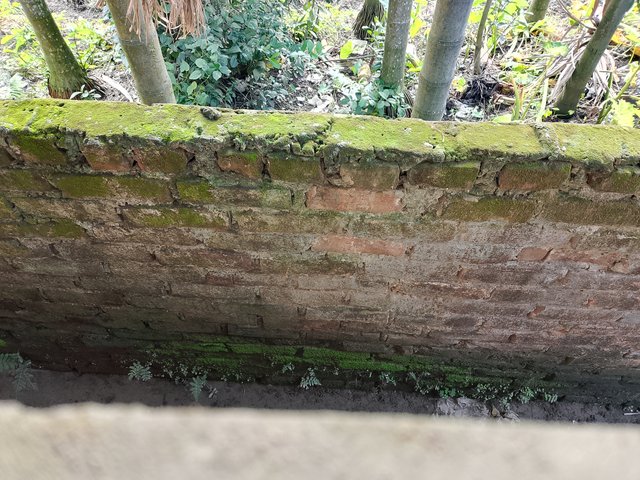 1000045634.jpg