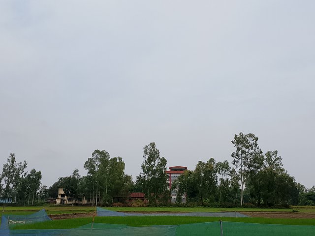 1000045308.jpg