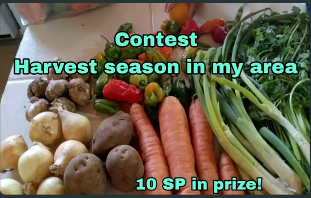IMG_20250728_111814.png