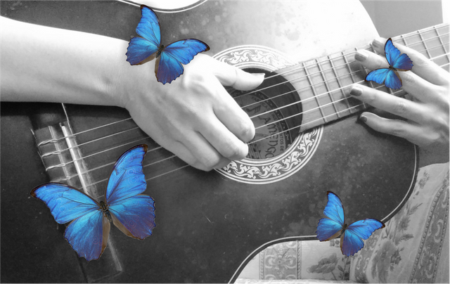 Fotos mariposas azules.png