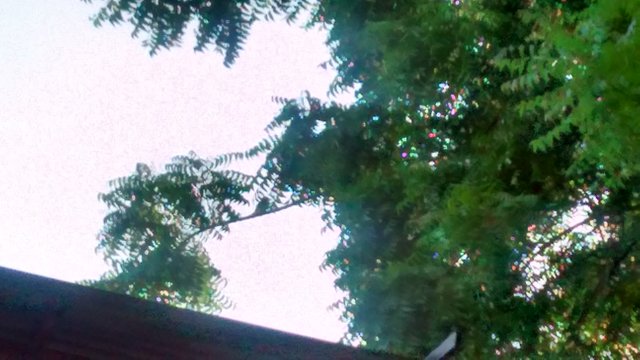 IMG_20180705_182447065_HDR.jpg