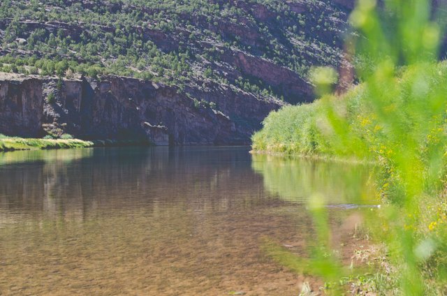 The glass water of the green river.JPG