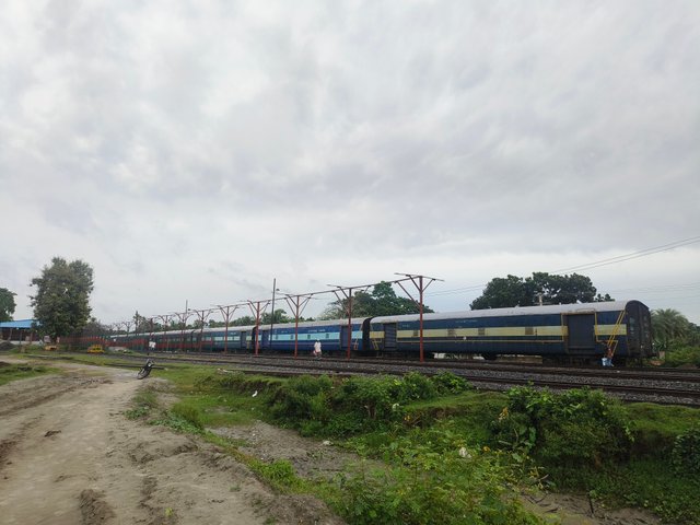 1000156101.jpg