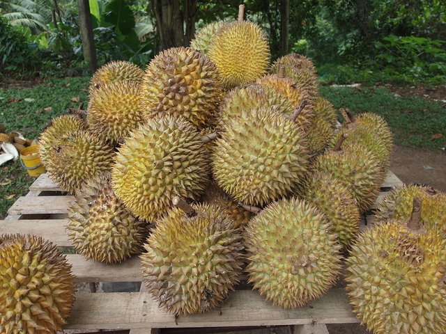 durian.jpg