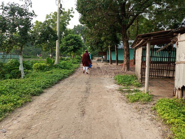 IMG_20250607_072702_199.jpg