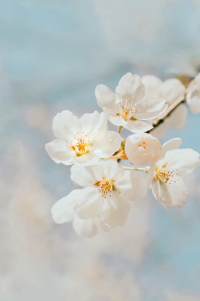 jei-lee-yRXuXvy4sQ4-unsplash (2).jpg