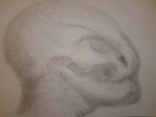 20250710_105512.jpg