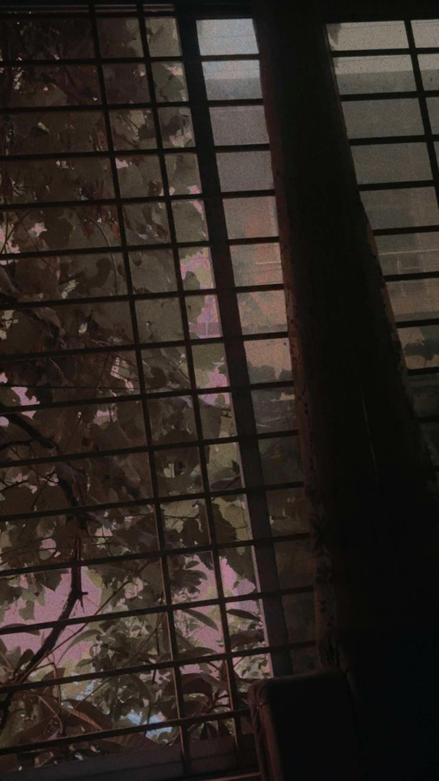 1000103802.jpg