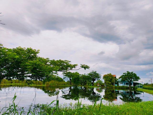 IMG_20250712_102830.jpg