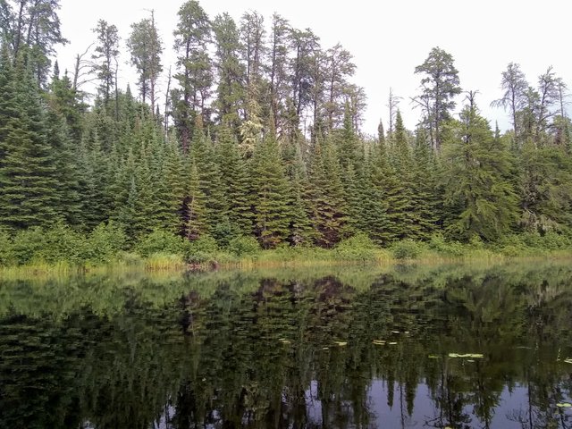 Quetico Canoe 22.jpg