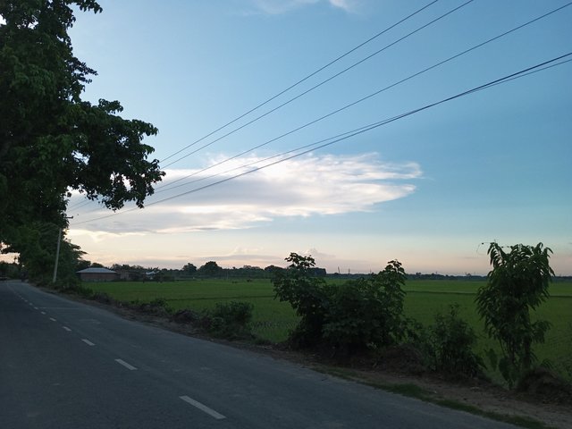 IMG_20250527_182111_260.jpg