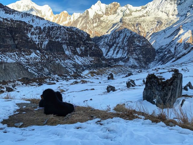 annapurna-base-camp-trek-himalayan-sunset.jpg