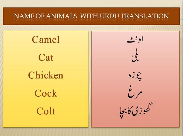 English To Urdu - #Vocabulary