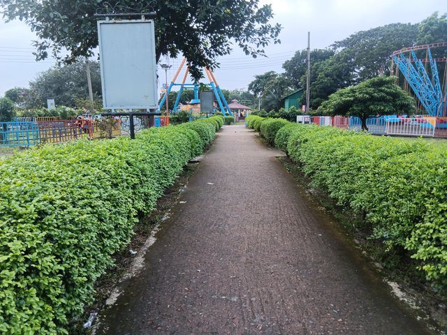 1000036467.jpg