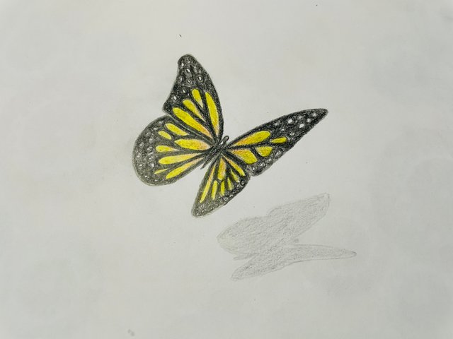 IMG_1823.jpeg