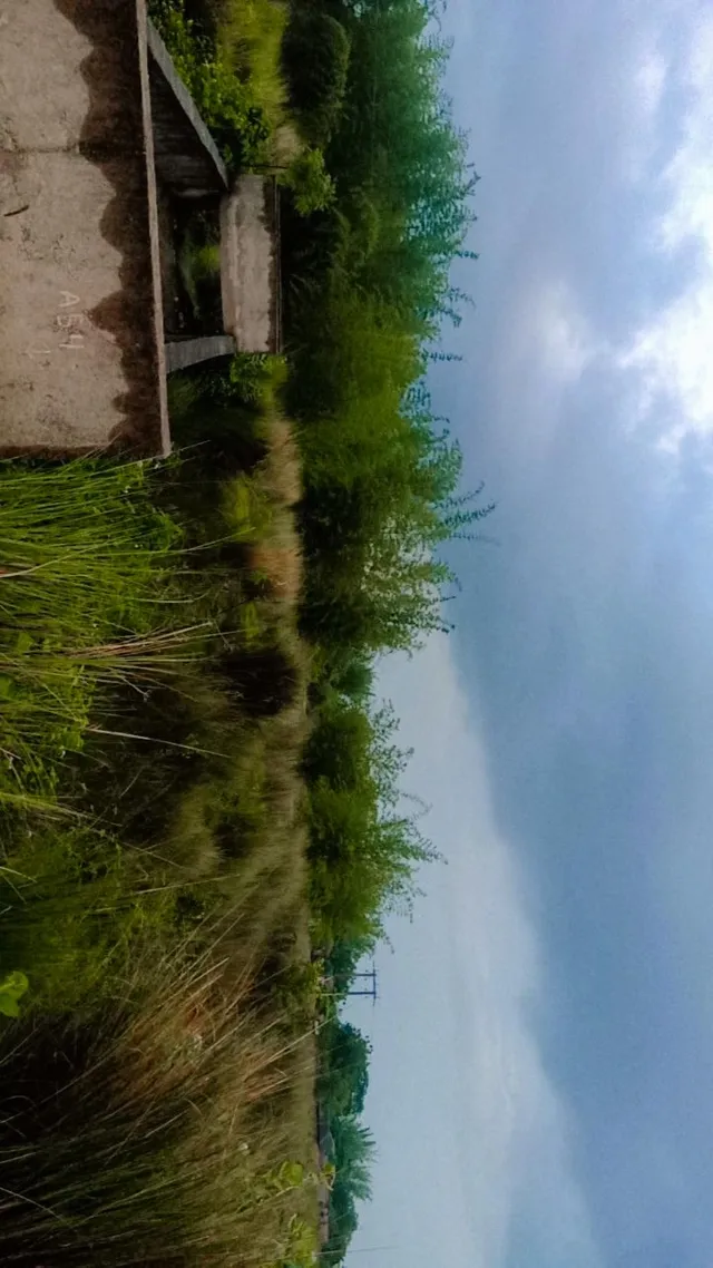 IMG_20230707_183000_670.webp