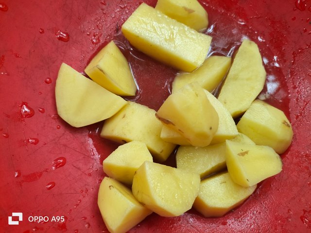 IMG20250501113547.jpg