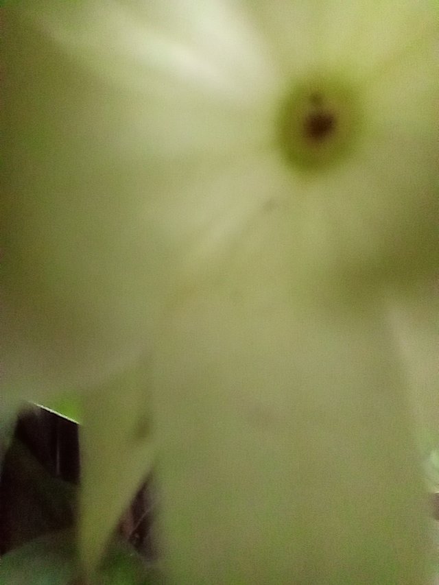 1000826932.jpg