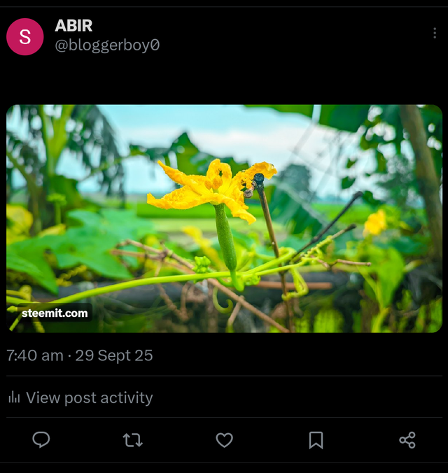 Screenshot_2025-09-29-07-40-41-459_com.twitter.android.png