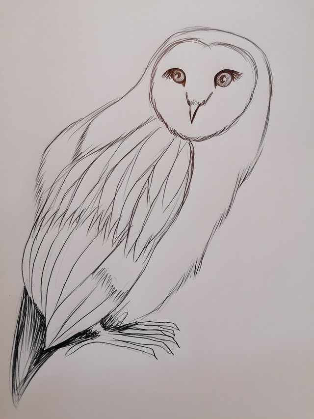 owl pen (5).jpg