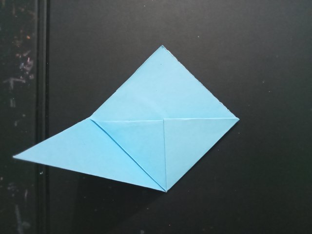 1000027181.jpg