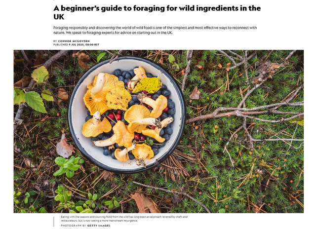 Screenshot 2021-08-17 at 18-33-48 A beginner’s guide to foraging for wild ingredients in the UK.png