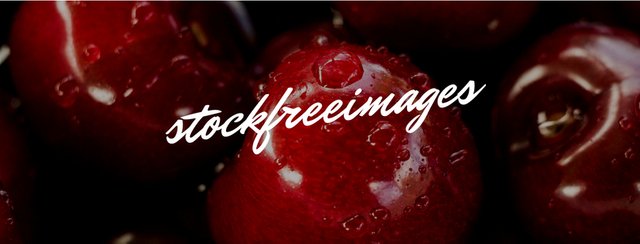 stockfreeimages (1).jpg