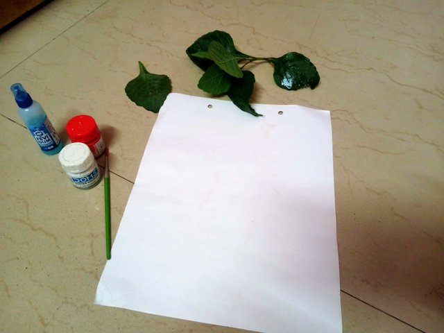 IMG20250813191904.jpg