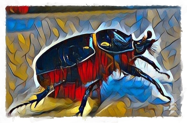 escarabajo-007_FotoSketcher.jpg