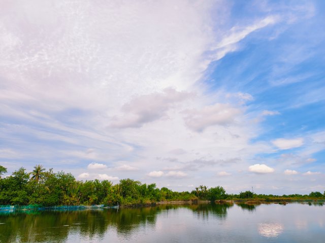IMG_20250528_092504_1.jpg