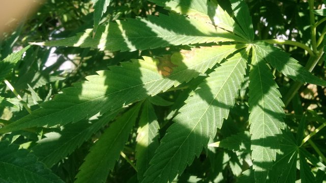 20190805_144355.jpg