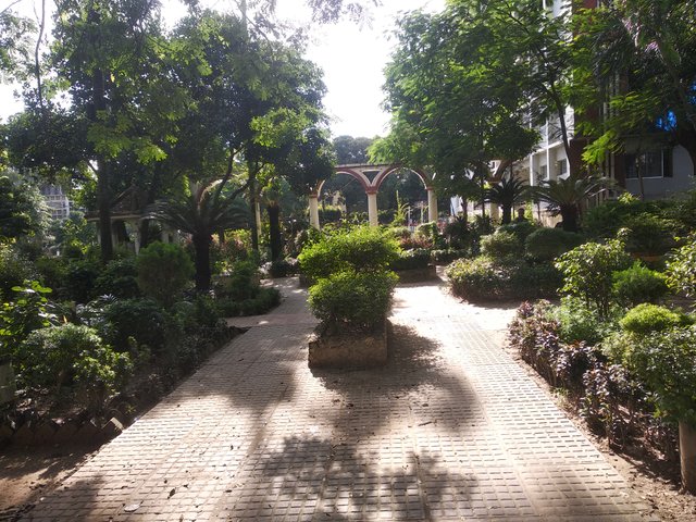 IMG_20250722_075515.jpg