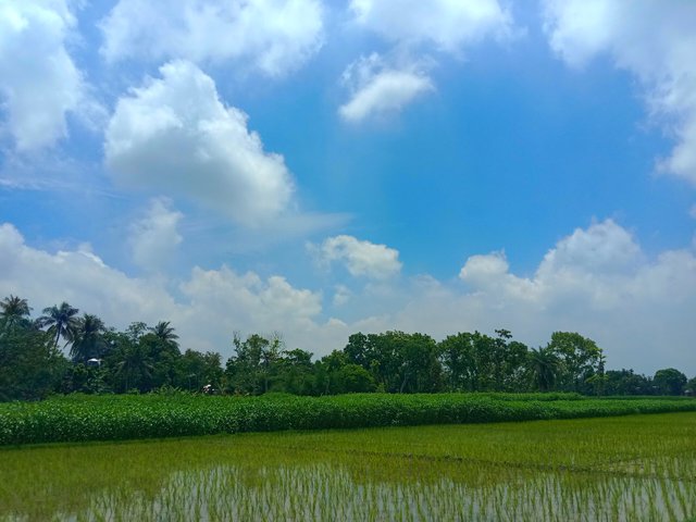 IMG_20250602_222738.jpg