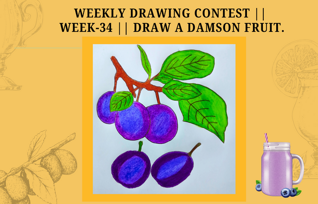 Weekly Drawing Contest  Week-34  Draw a Damson Fruit. by @zisha-hafiz.png