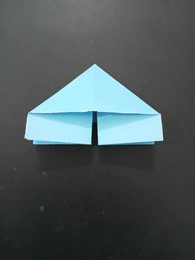 1000026158.jpg